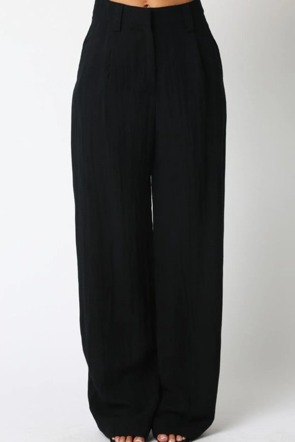 Danica High Waist Woven Wide Leg Pants Black