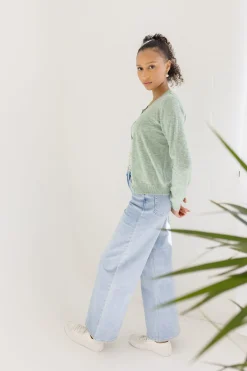 Remi Long Sleeve Button Down Cardigan Green